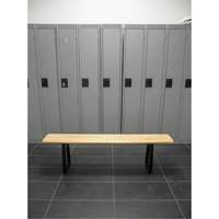 Banc pour vestiaire, Bois, 48" lo x 9-1/2" la x 16-1/2" h Air Extreme Inc.