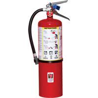 Extincteur d'incendie, ABC, Capacit&eacute; 10 lb Air Extreme Inc.