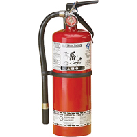 Fire Extinguisher, ABC, 5 lbs. Capacity Air Extreme Inc.
