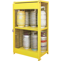 Gas Cylinder Cabinets, 12 Cylinder Capacity, 44" W x 30" D x 74" H, Yellow Air Extreme Inc.