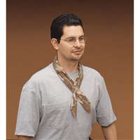 Bandeaux de refroidissement Cool Offs, Multicolore Air Extreme Inc.