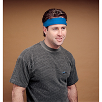 Serviette refroidissante standard, Bleu Air Extreme Inc.