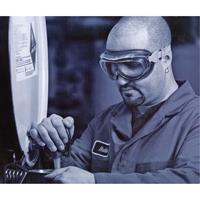 Lunettes de s&eacute;curit&eacute; &agrave; coques Uvex Flex Seal, Lentille 3,0, Antibu&eacute;e, Ventilation Indirecte Air Extreme Inc.