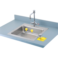 Swing-Away Eyewash Station, Counter-Mount Installation Air Extreme Inc.