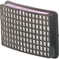 Speedglas Respiratory Protection-replacement Filters & Cartridges, P100 Filter, Pack of 2 Air Extreme Inc.