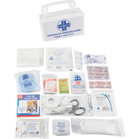 First Aid Kit, Class 1 Medical Device, Plastic B Air Extreme Inc.