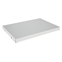 Extra Shelf for Sure-Grip&reg; Ex Flammable Storage Cabinet Air Extreme Inc.