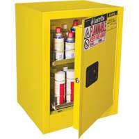 Armoire de s&eacute;curit&eacute; d'&eacute;tabli pour produits inflammables EX Sure-Grip, 24 gal., 1 Porte(s), 21" La x 27" h x 18" p Air Extreme Inc.