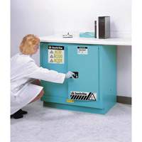 ChemCor&reg; Lined Acid/Corrosive Storage Cabinets, 22 gal., 35" x 35" x 22" Air Extreme Inc.