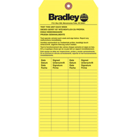 Inspection Tag, Paper, 3-6/8" W x 5-7/8" H, English Air Extreme Inc.