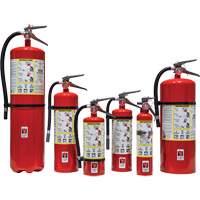 Extincteur d'incendie, ABC, Capacit&eacute; 30 lb Air Extreme Inc.