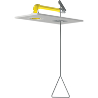 Horizontal Supply Emergency Shower Stations, Ceiling-Mount Air Extreme Inc.