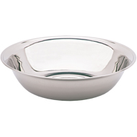 Basins Air Extreme Inc.