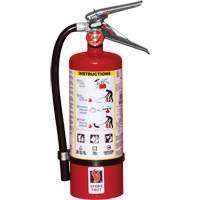 Extincteur d'incendie, ABC, Capacit&eacute; 5 lb Air Extreme Inc.