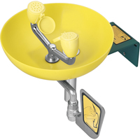 Poste de douche oculaire/faciale, Installation Montage mural, Bol Plastique Air Extreme Inc.