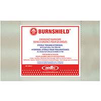 Gel Burngel Burnfree, Gel, Classe 2 Air Extreme Inc.