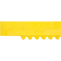 Border Ramp for Matting Air Extreme Inc.