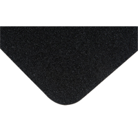 Premium Anti-Skid Tape, 5.5" x 5-1/2", Black Air Extreme Inc.