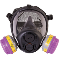 Respirateur &agrave; masque complet de s&eacute;rie RU6500 de North, Silicone, Moyen Air Extreme Inc.