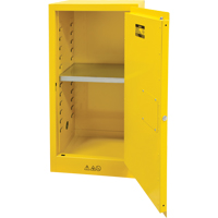 Flammable Storage Cabinet, 16 gal., 1 Door, 23" W x 44" H x 18" D Air Extreme Inc.
