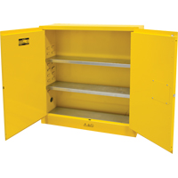 Flammable Storage Cabinet, 24 gal., 2 Door, 43" W x 44" H x 12" D Air Extreme Inc.