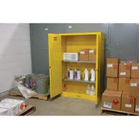 Flammable Storage Cabinet, 45 gal., 2 Door, 43" W x 65" H x 18" D Air Extreme Inc.
