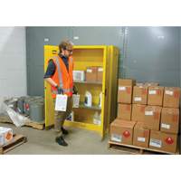 Flammable Storage Cabinet, 45 gal., 2 Door, 43" W x 65" H x 18" D Air Extreme Inc.