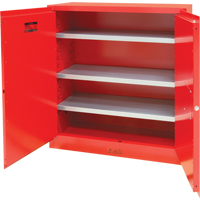 Paint/Ink Cabinet, 45 gal., 3 Shelves Air Extreme Inc.