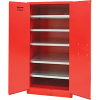 Paint/Ink Cabinet, 96 gal., 5 Shelves Air Extreme Inc.