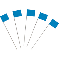 Drapeaux de marquage Air Extreme Inc.