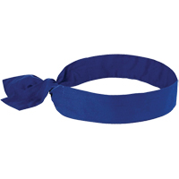 Chill-its&reg; 6700 Cooling Bandanas, Blue Air Extreme Inc.