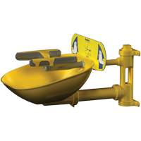 Halo Face/Eyewash Stations, Wall-Mount Installation, Plastic Bowl Air Extreme Inc.