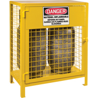 Gas Cylinder Cabinets, 2 Cylinder Capacity, 30" W x 17" D x 37" H, Yellow Air Extreme Inc.