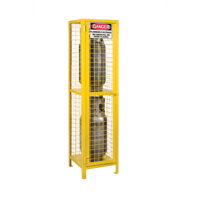 Gas Cylinder Cabinets, 2 Cylinder Capacity, 17" W x 17" D x 69" H, Yellow Air Extreme Inc.