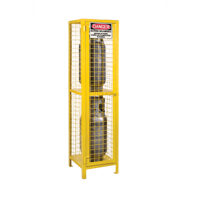 Gas Cylinder Cabinets, 2 Cylinder Capacity, 17" W x 17" D x 69" H, Yellow Air Extreme Inc.