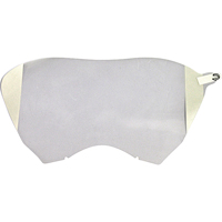 Replacement Faceshields Protectors for 9000 Full Facepiece Respirators Air Extreme Inc.