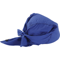 Chill-Its&reg; 6710CT Cooling Triangle Hats, Blue Air Extreme Inc.