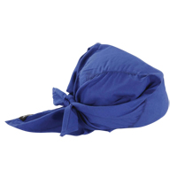 Chill-Its&reg; 6710 Cooling Triangle Hats, Blue Air Extreme Inc.