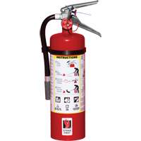 Extincteur d'incendie, ABC, Capacit&eacute; 5 lb Air Extreme Inc.
