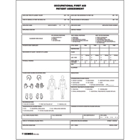 Patient Assessment Chart Air Extreme Inc.