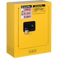 Mini-armoires de s&eacute;curit&eacute; Sure-Grip EX pour produits inflammables, 2 gal., 1 Porte(s), 17" La x 22" h x 8" p Air Extreme Inc.