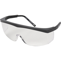 Z100 Series Safety Glasses, Clear Lens, Anti-Scratch, Meets/Exceeds CSA Z94.3 Air Extreme Inc.