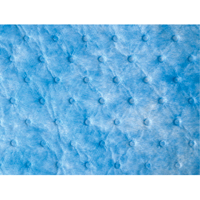 Oil Only Sorbent Sweep Air Extreme Inc.