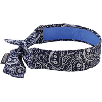 Chill-Its&reg; 6700CT Cooling Bandanas, Blue Air Extreme Inc.