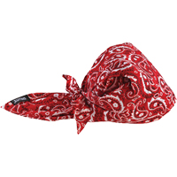 Chill-Its&reg; 6710CT Cooling Triangle Hats, Red Air Extreme Inc.