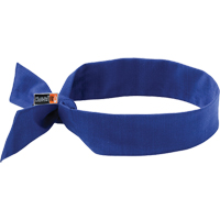 Chill-Its&reg; 6700FR Cooling Bandanas, Blue Air Extreme Inc.