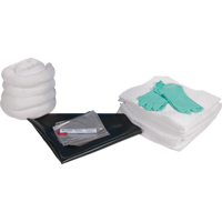 Trousse de rechange pour atelier, 30 gallons, Huile seulement Air Extreme Inc.