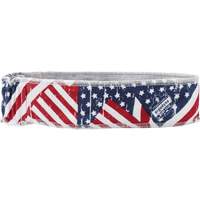 Chill-Its 6605 Cooling Headbands, Multi-Colour Air Extreme Inc.