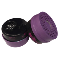 Cartouche pour respirateur, Combinaison cartouche et filtre contre les particules pour gaz/vapeurs, Vapeur organique/Filtre P100 Air Extreme Inc.
