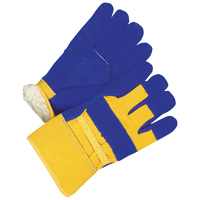Ladies Fitter Gloves, Ladies, Grain Cowhide Palm, Cotton Inner Lining Air Extreme Inc.